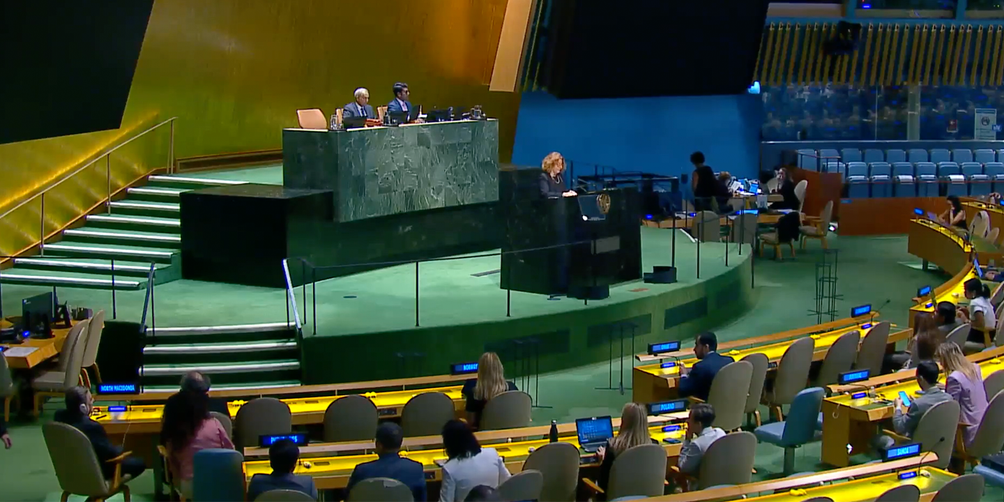 Summary of the 2024 UN General Assembly Plenary Meeting on the Responsibility to Protect